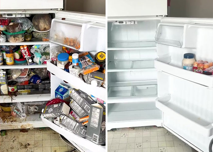 Psychology Student Deep Cleans “Unlivable” Homes To Help Their Owners’ Mental Health Psychology Student Deep Cleans “Unlivable” Homes To Help Their Owners’ Mental Health