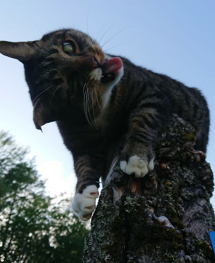 Matteus Is So Beautiful And Photogenic