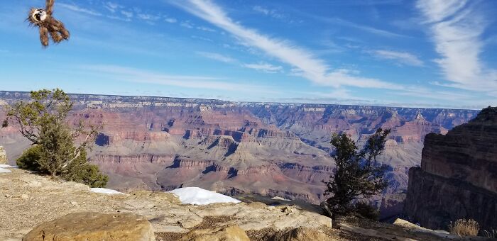 Worlds Slowest Photo Bomber