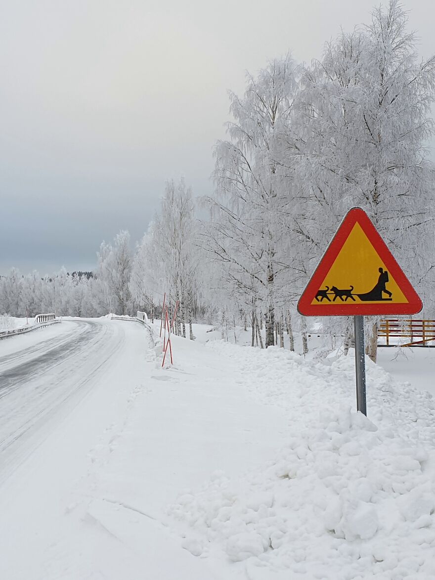 Funny Traffic Sign From Sweden