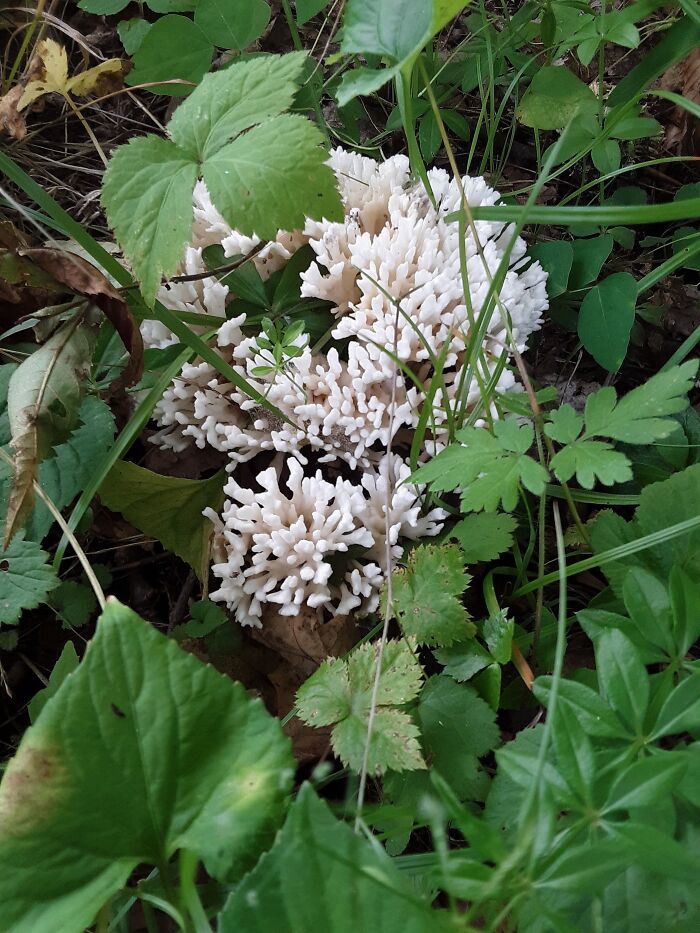 New London, Wisconsin