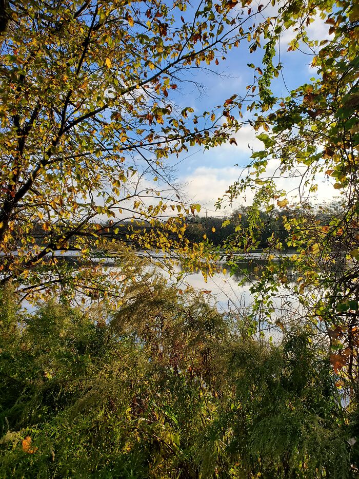 Along The Banks Of The Hackensack River, New Jersey