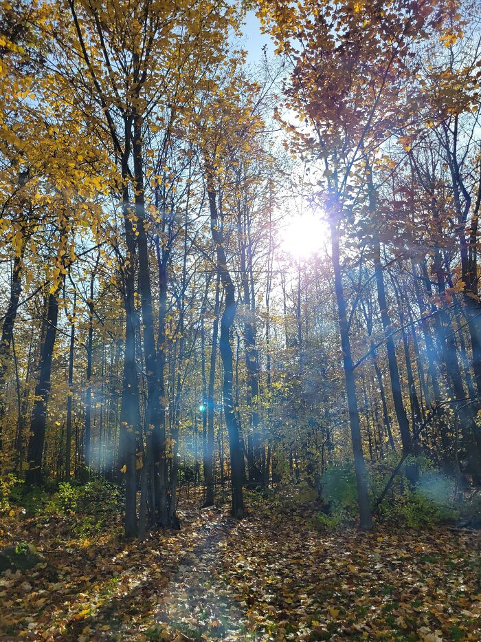 I Liked The Light Here