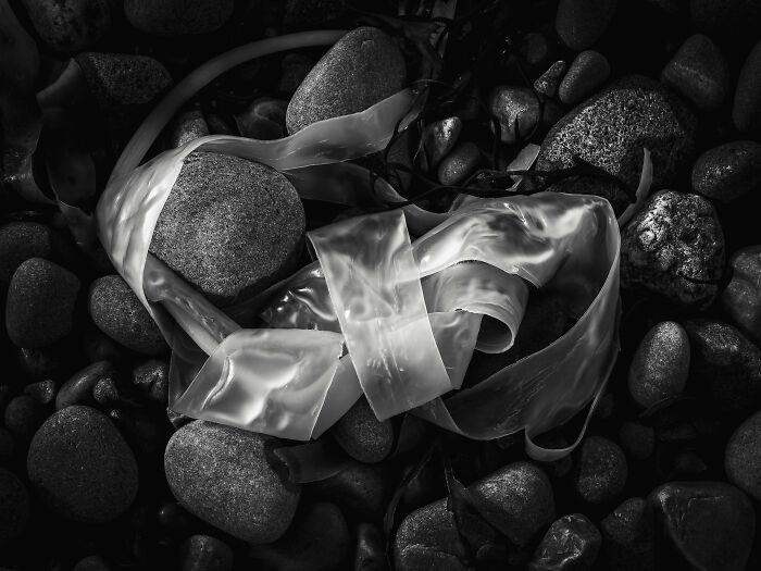 Black And White Commended: Darren Ciolli-Leach, 'Luminosity'