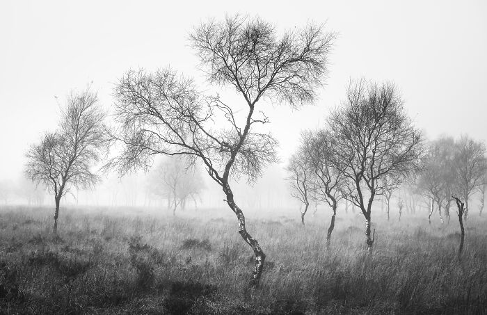 Black And White Commended: Demi Oral, 'Nomads'