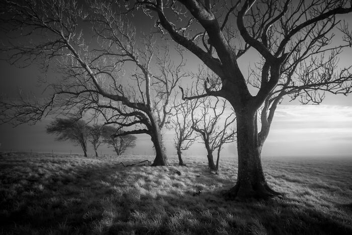Black And White Commended: Edd Allen, 'The Witches'