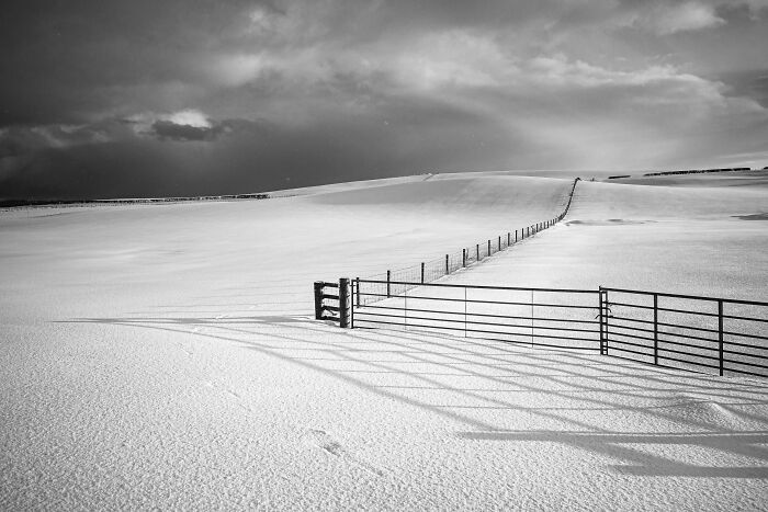 Black And White Commended: Martin Watt, 'Fenced Out'