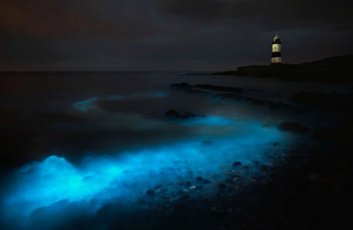 Classic View Commended: Llion Griffiths, 'Mystery Of Penmon'