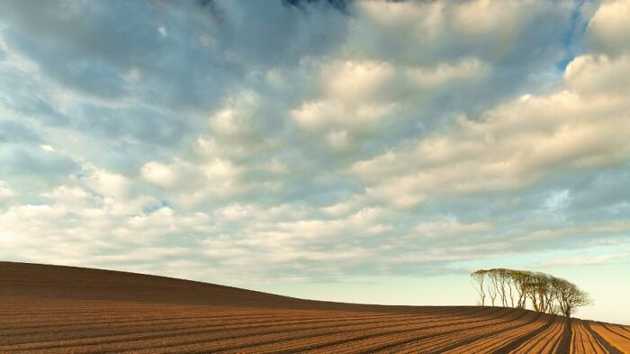 Classic View Commended: Graham Osler, 'Tattle Field'