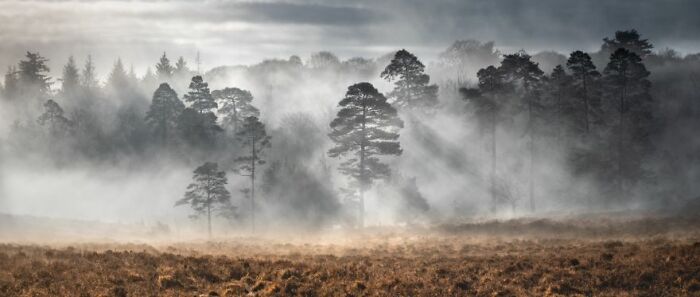 Classic View Commended: Mik Dogherty, 'Slufter's Mist'
