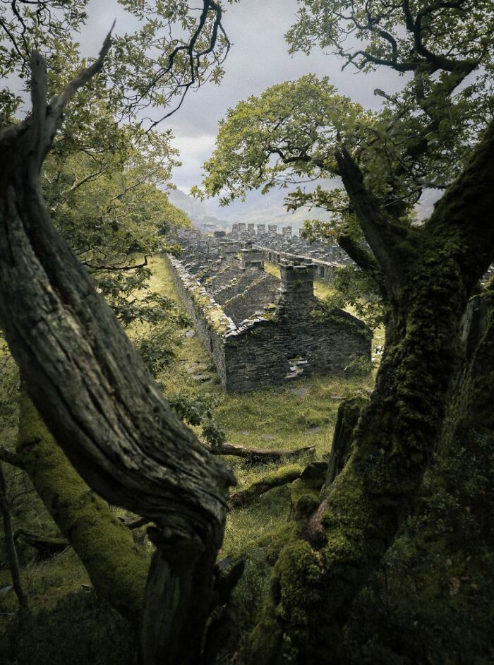 Historic Britain Commended: Sam Binding, 'The Quarry'