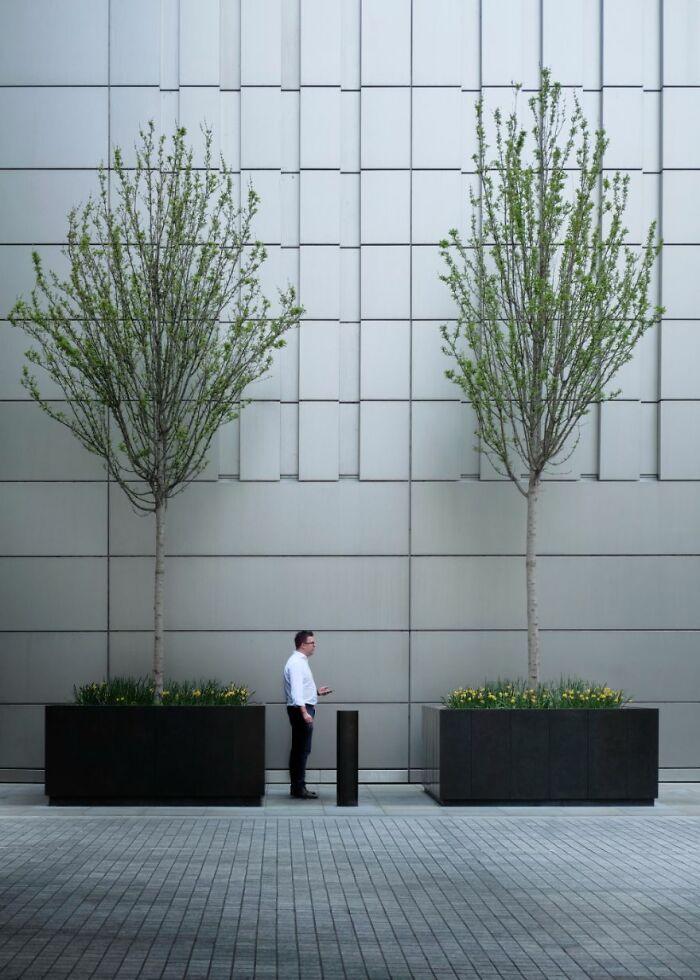 Urban Life Commended: Dave Fieldhouse, 'Between Two Trees'