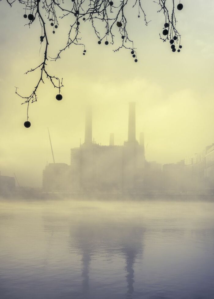 Urban Life Commended: Terry Gibbins, 'Bps 2020'