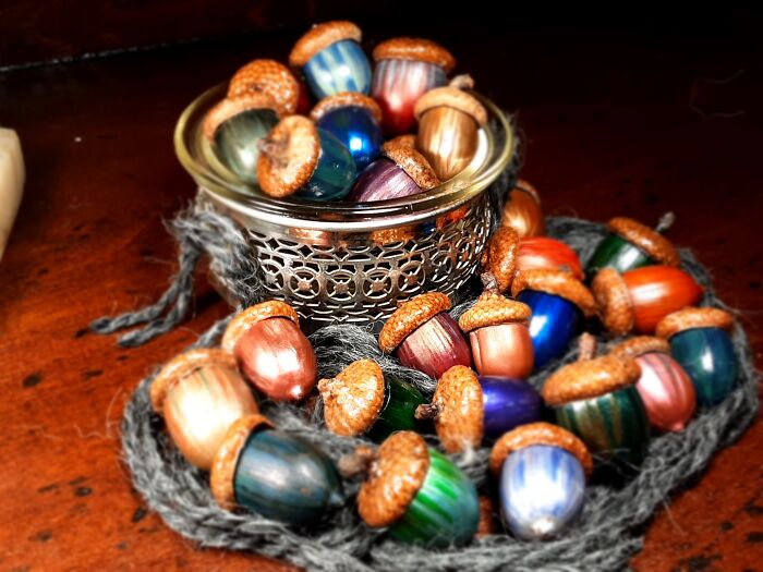 Acorns. Lots And Lots Of Colorful Acorns