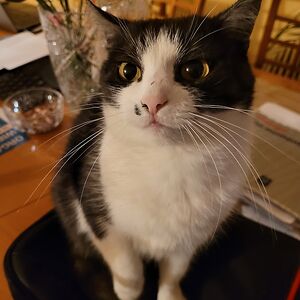 rilmaramarthkhil avatar