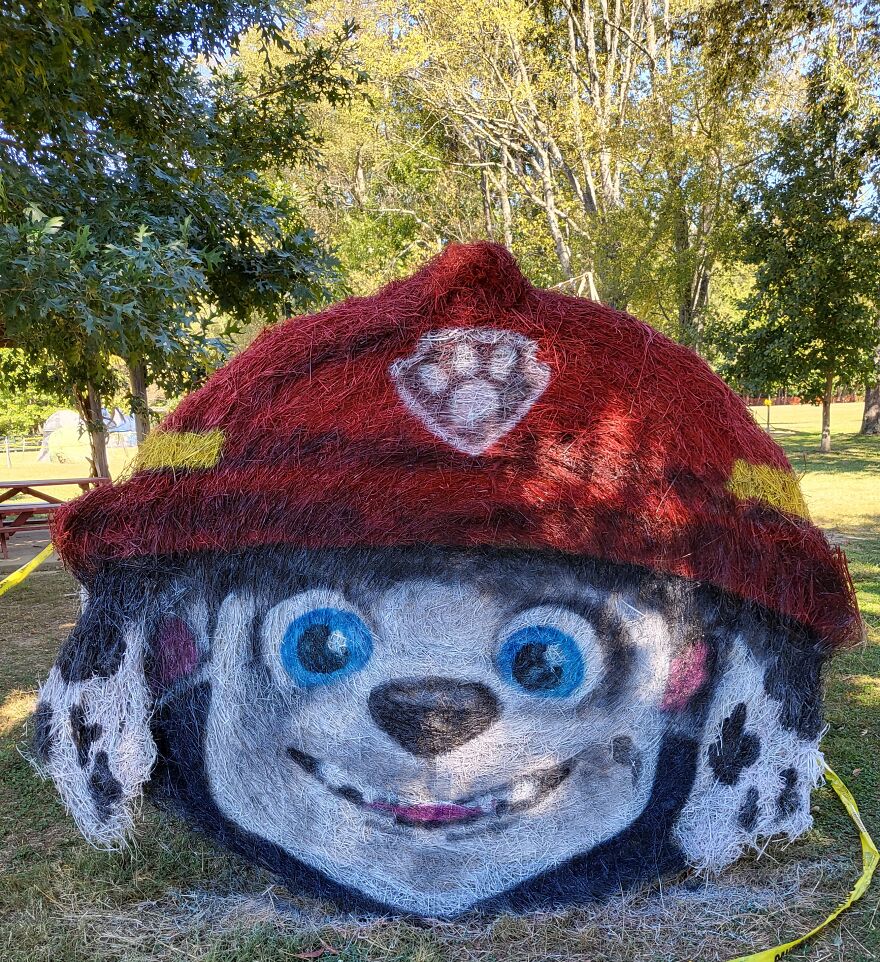 Marshall From Paw Patrol