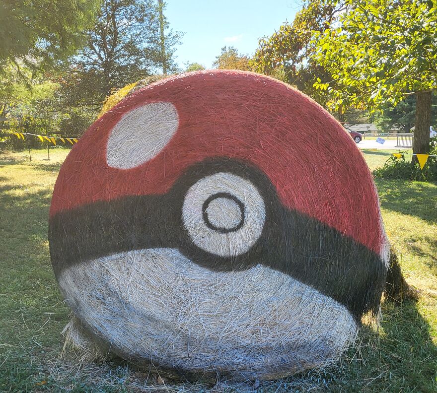 Poke Ball From Pokémon