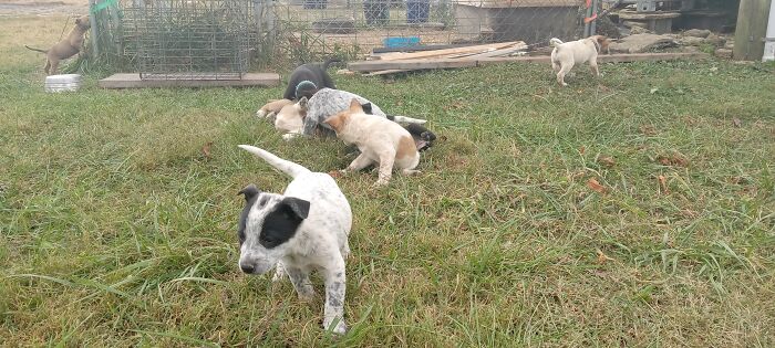 Fight Club. They Started To Wrestle When I Picked Up The Camera