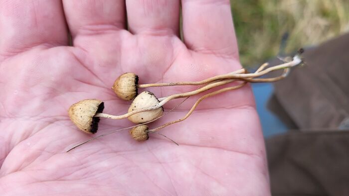 First Two Weeks Of October