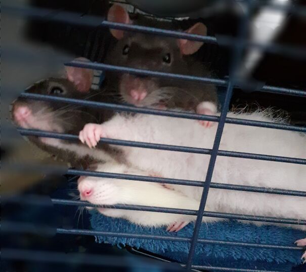 Not Sure What's Happening In This Pic, Lol