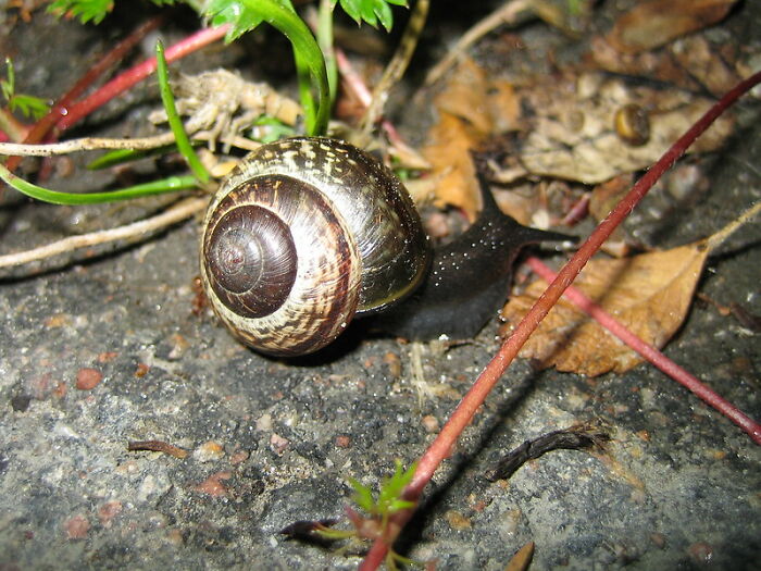 Folks Online Can't Believe That People Actually Enjoy These 30 Foods And Drinks