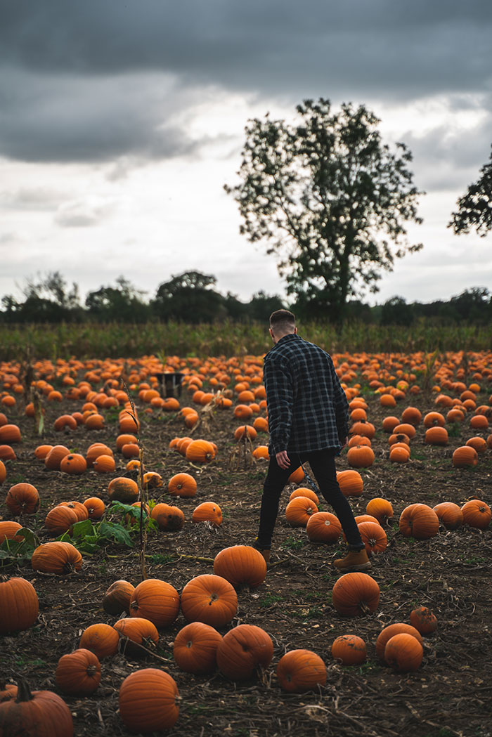 Taking A Pumpkin Walk