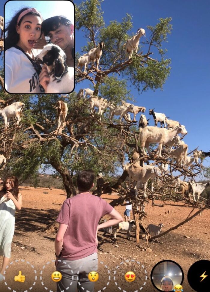 People Are Sharing Their Hilarious BeReal Pics, Here Are 35 Of The Funniest Ones