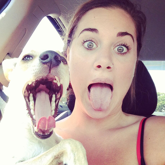 Like Owner, Like Pet