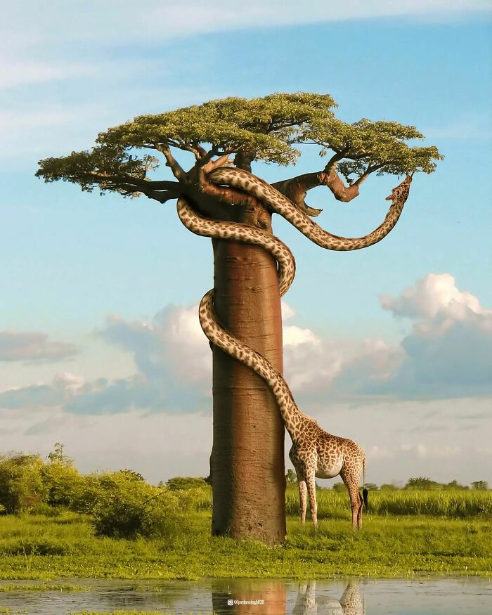 Indian Uses Photoshop To Create A Surreal And Unimaginable World (50 Pics)