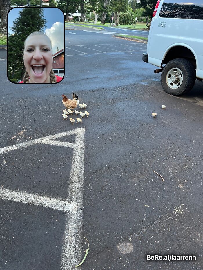 People Are Sharing Their Hilarious BeReal Pics, Here Are 35 Of The Funniest Ones