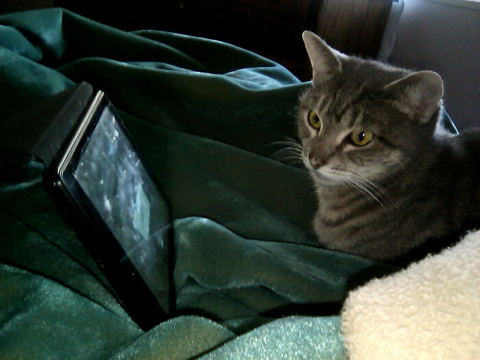 20 Personas que pensaban que algo era normal y al final descubrieron que no lo era