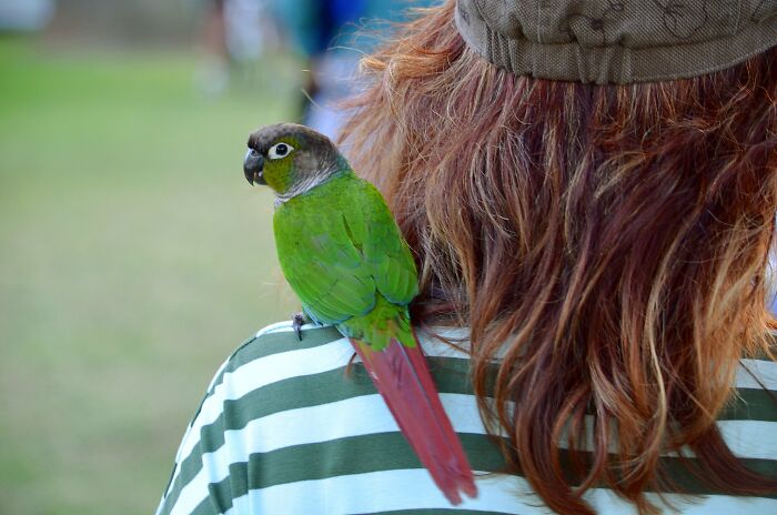 30 Smells People Willingly Admit They Love, As Shared In This Online Thread