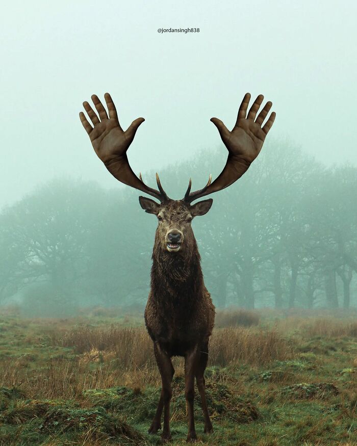 Indian Uses Photoshop To Create A Surreal And Unimaginable World (50 Pics)