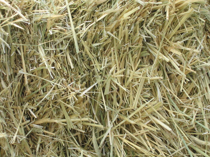 30 Smells People Willingly Admit They Love, As Shared In This Online Thread