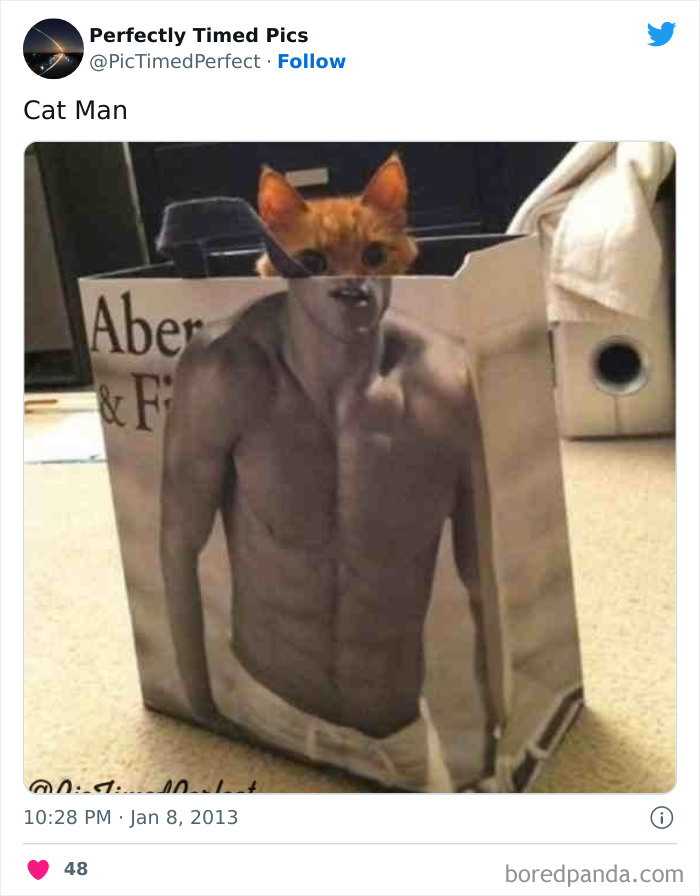 Perfectly-Timed-Pics