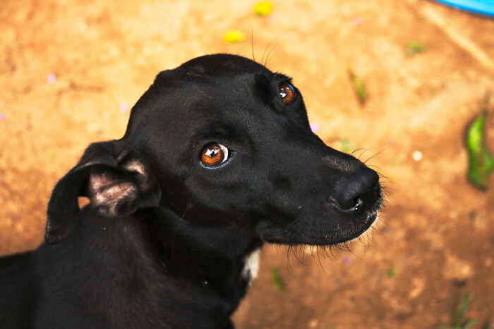 30 Things That Immediately Make People Angry Because They Are So Annoying, As Shared In This Online Group