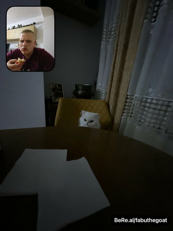 People Are Sharing Their Hilarious BeReal Pics, Here Are 35 Of The Funniest Ones