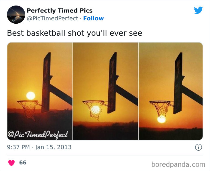 Perfectly-Timed-Pics