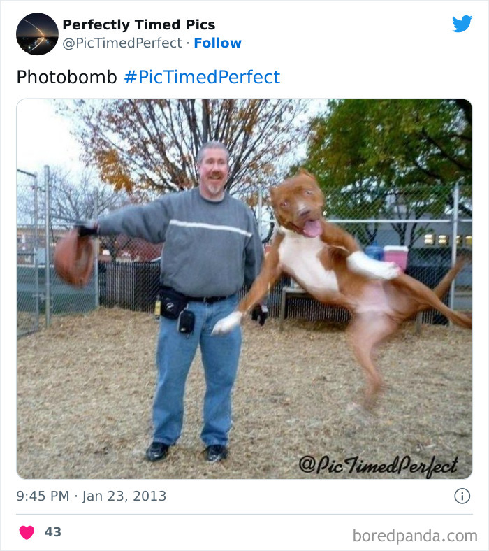 Perfectly-Timed-Pics