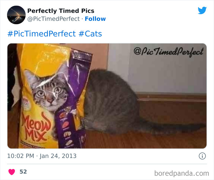 Perfectly-Timed-Pics