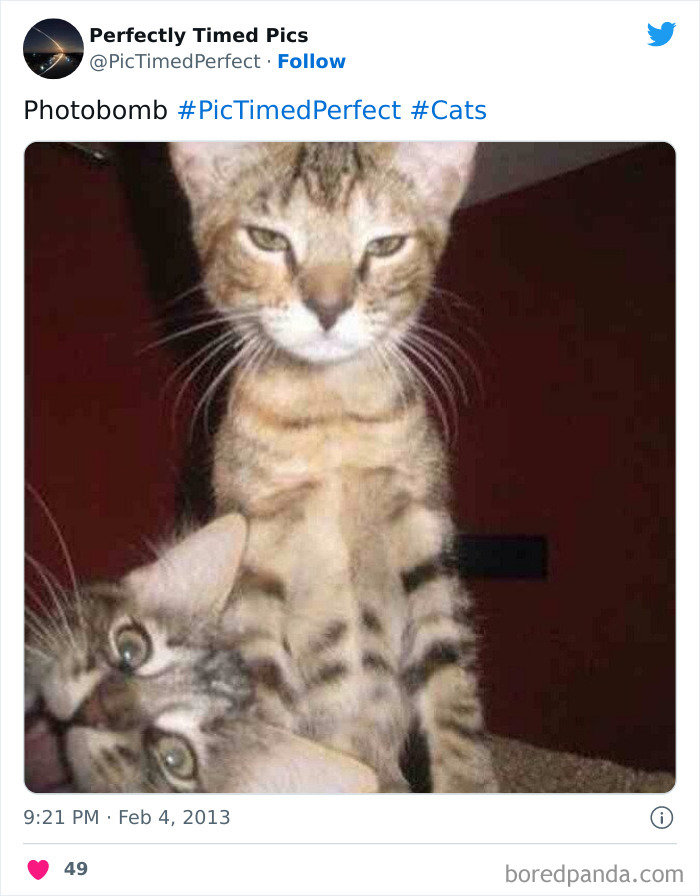 Perfectly-Timed-Pics