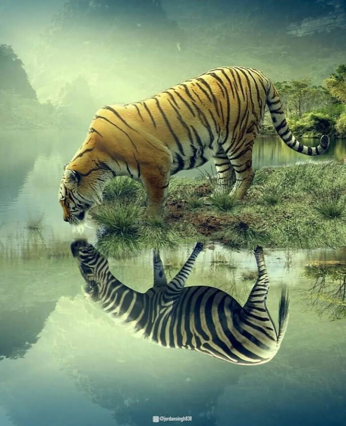Indian Uses Photoshop To Create A Surreal And Unimaginable World (50 Pics)