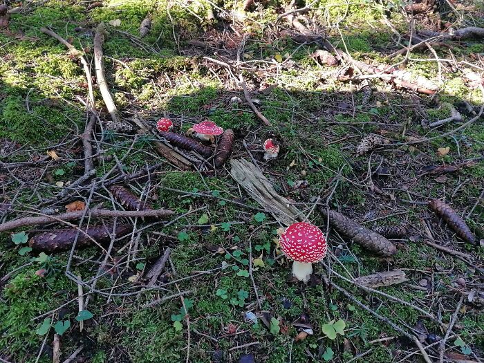Ružomberok, Slovakia