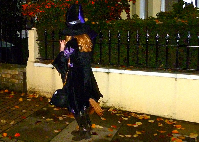 Man Captures Owl Flying Away With Child’s Hobby Horse Like A Witch Riding A Broom, Leaves The Internet In Stitches Man Captures Owl Flying Away With Child’s Hobby Horse Like A Witch Riding A Broom, Leaves The Internet In Stitches