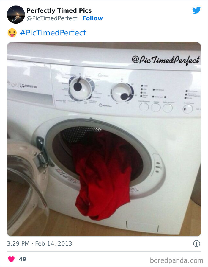 50 "Perfectly Timed Pics" That Might Make You Look Twice