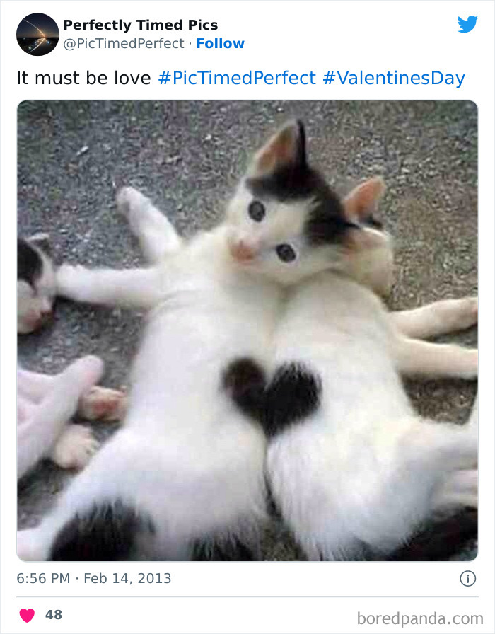 Perfectly-Timed-Pics