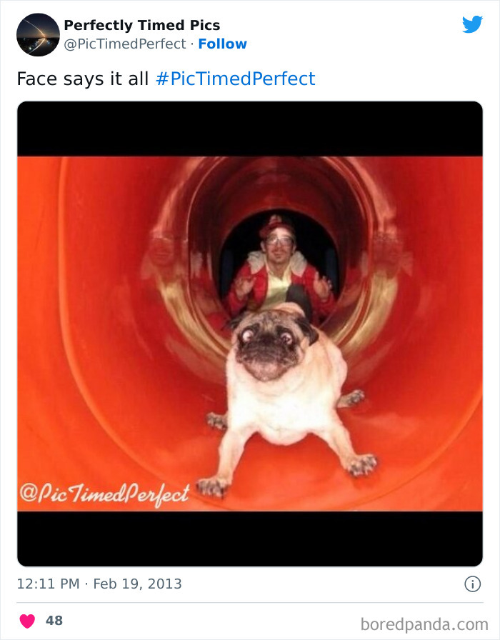 Perfectly-Timed-Pics