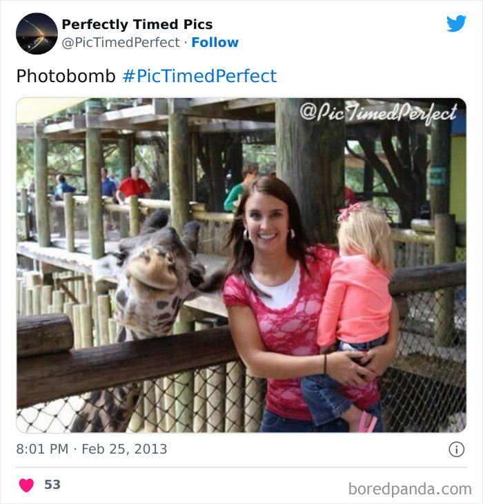 Perfectly-Timed-Pics