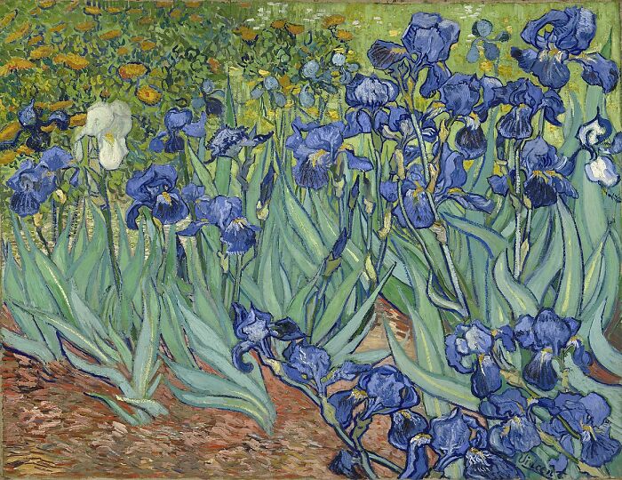 Landscape painting with vibrant blue irises by a world-famous painter, showcasing detailed natural beauty.