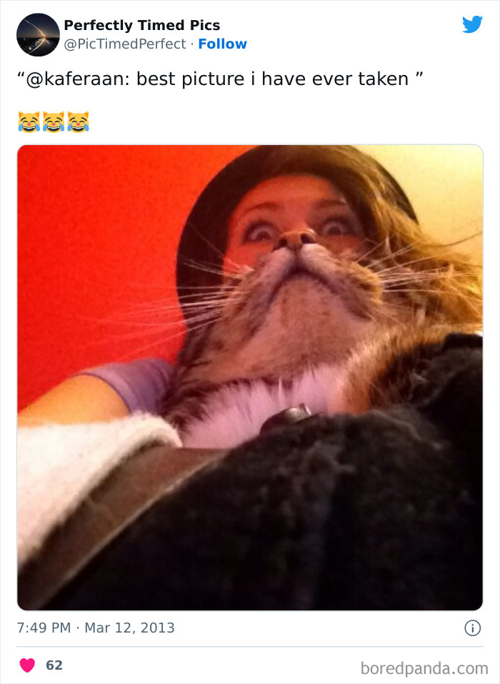 Perfectly-Timed-Pics